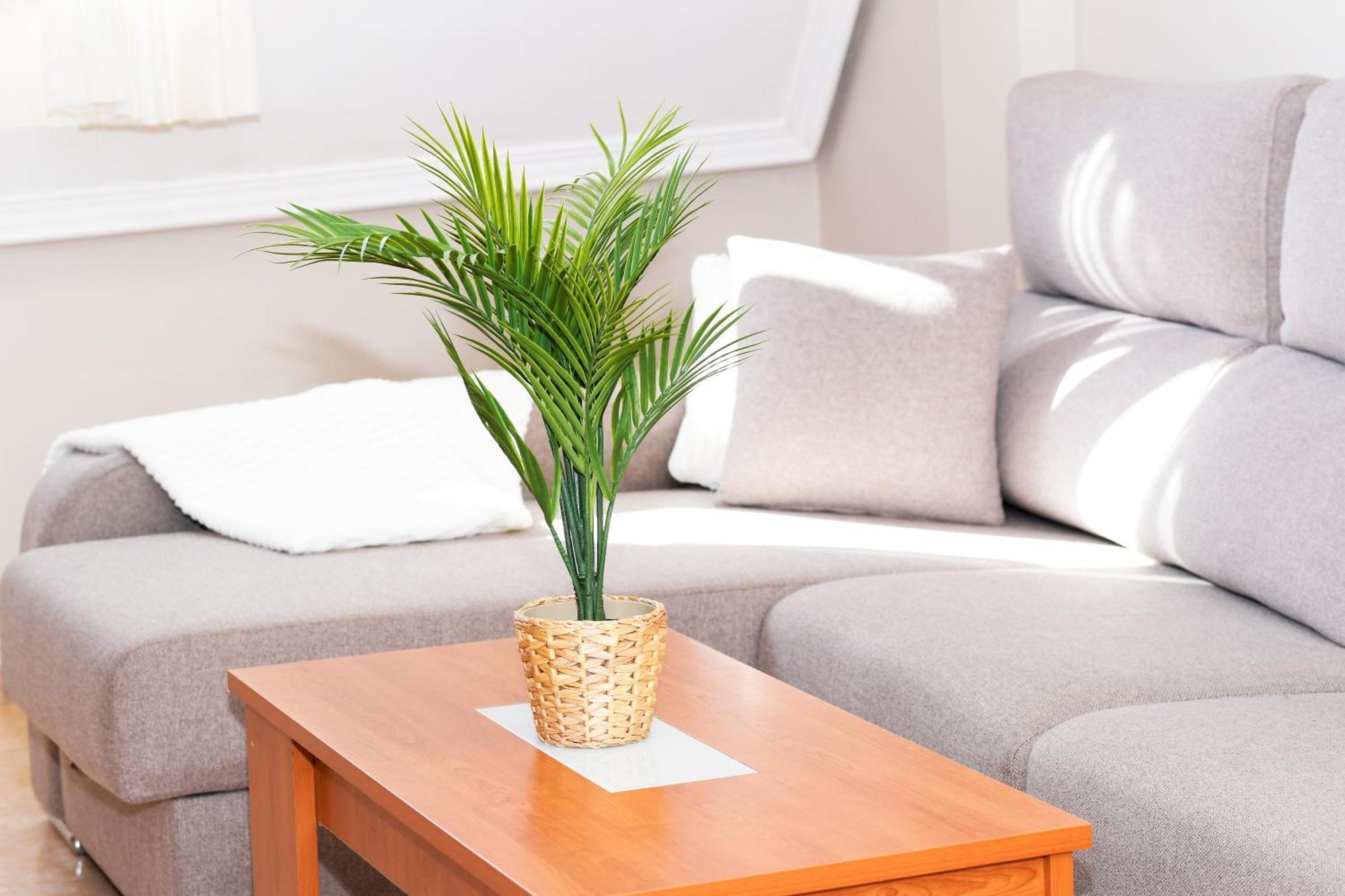 Velayli - Apartamento En El Centro De Finisterre Luaran gambar